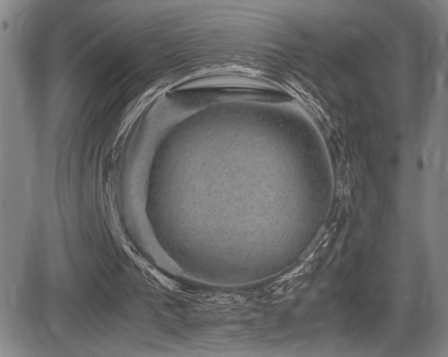 X0000083580193200702091127
