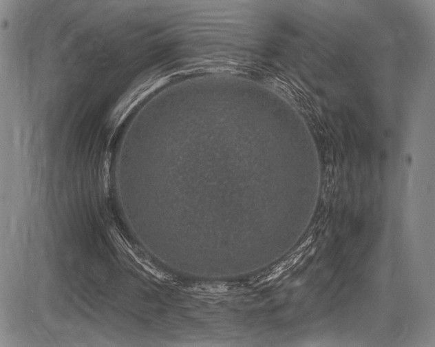 X0000083580194200702091127
