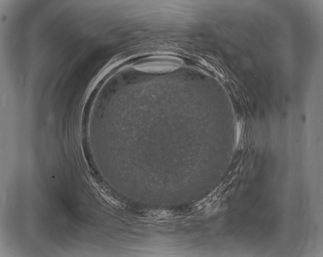 X0000083580195200702091127