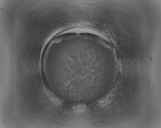 X0000083580196200702091127