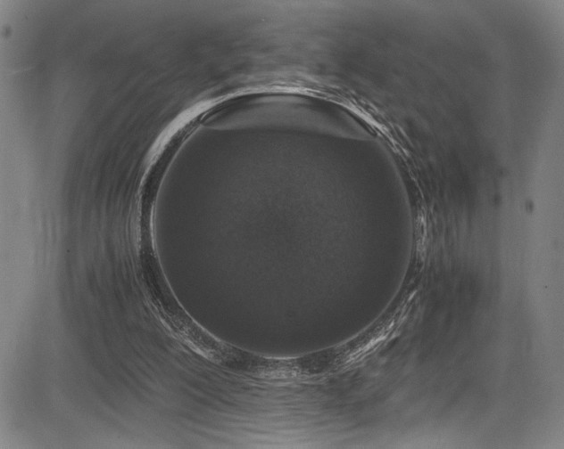 X0000083580200200702091127