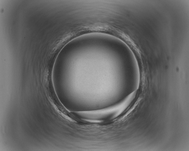 X0000083580201200702091127