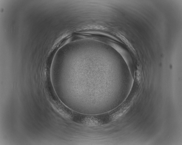 X0000083580207200702091127
