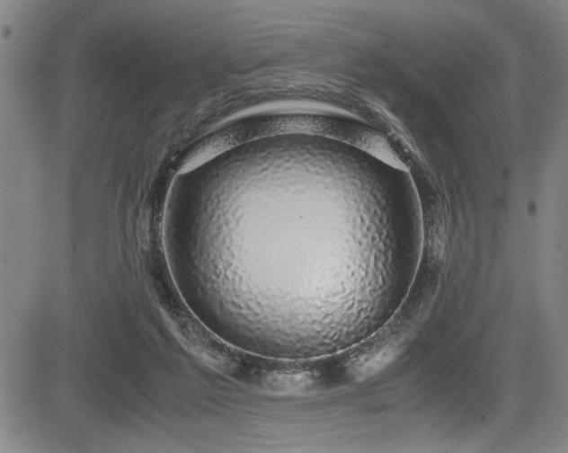 X0000083580213200702091127