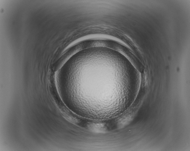 X0000083580217200702091127