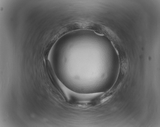 X0000083580221200702091127