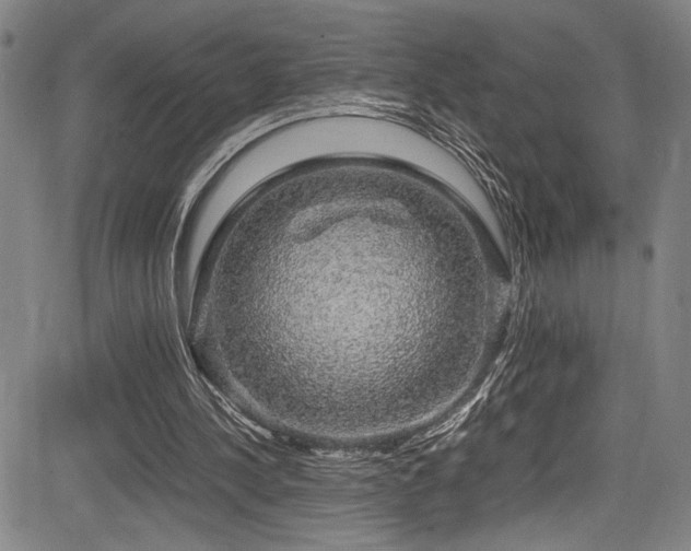 X0000083580244200702091126
