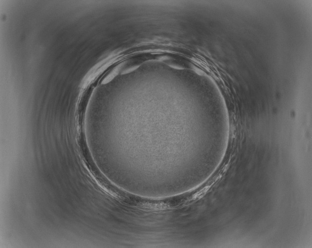 X0000083580245200702091126