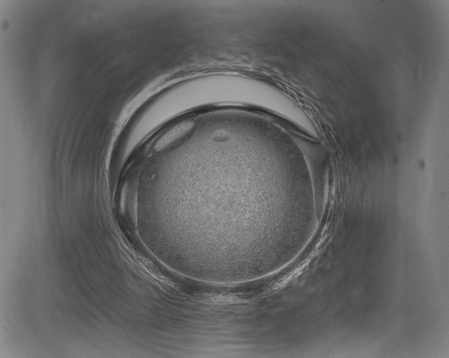 X0000083580246200702091126