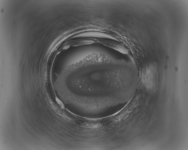 X0000083580247200702091126