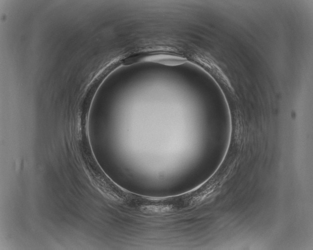 X0000083580251200702091126