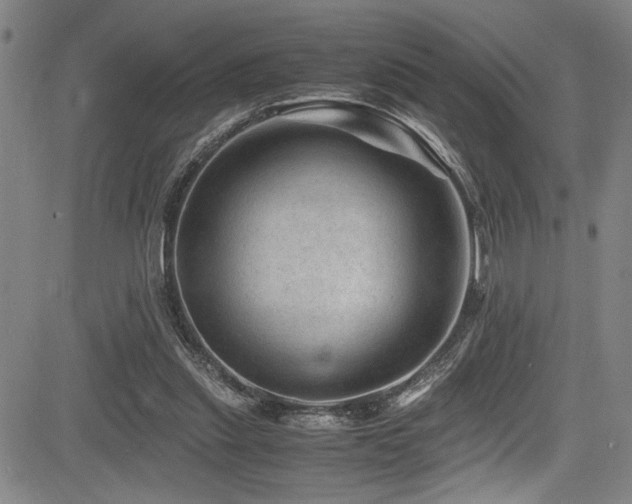 X0000083580253200702091126