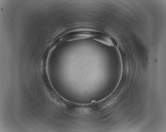 X0000083580255200702091126