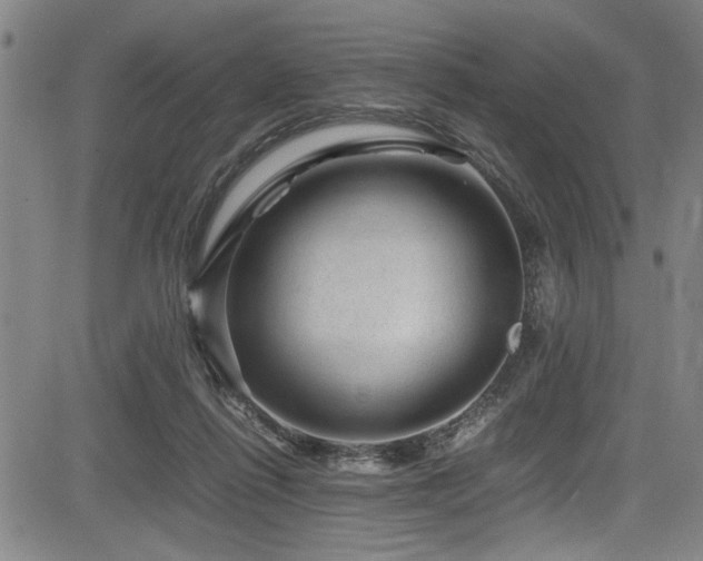 X0000083580262200702091126
