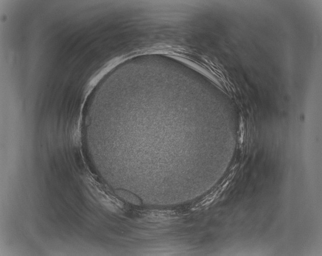 X0000083580292200702091126