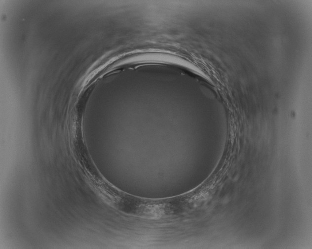X0000083580295200702091126