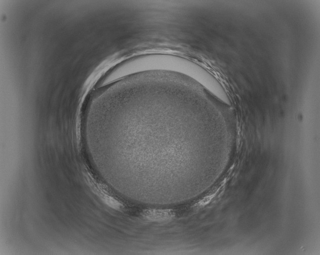 X0000083580296200702091126