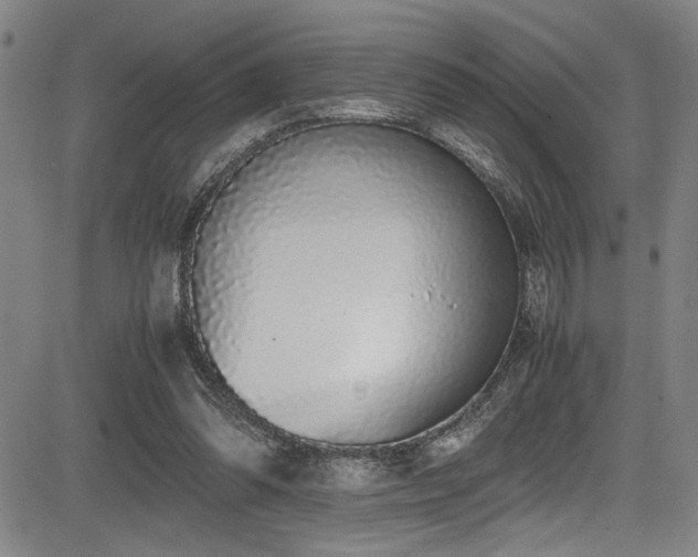 X0000083580302200702091125