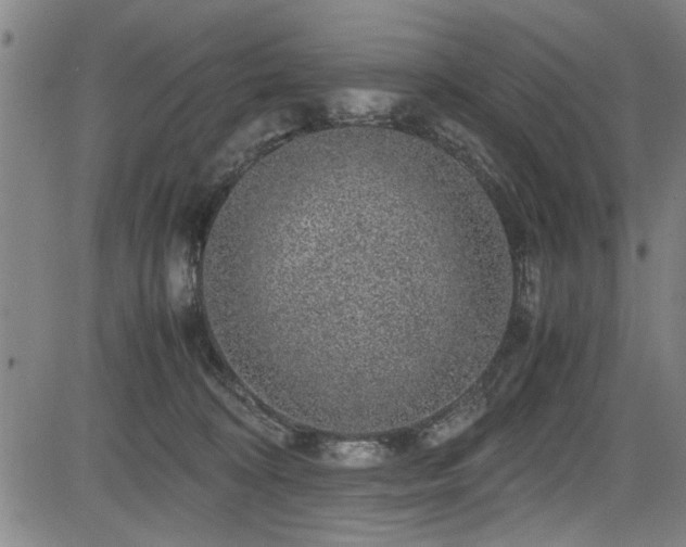 X0000083580324200702091125