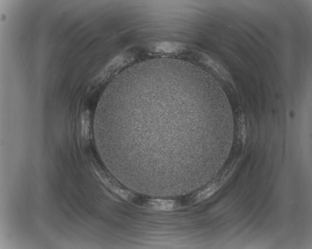 X0000083580328200702091125