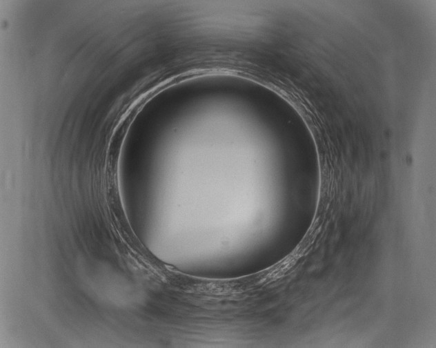 X0000083580338200702091124