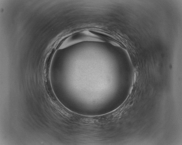 X0000083580339200702091124