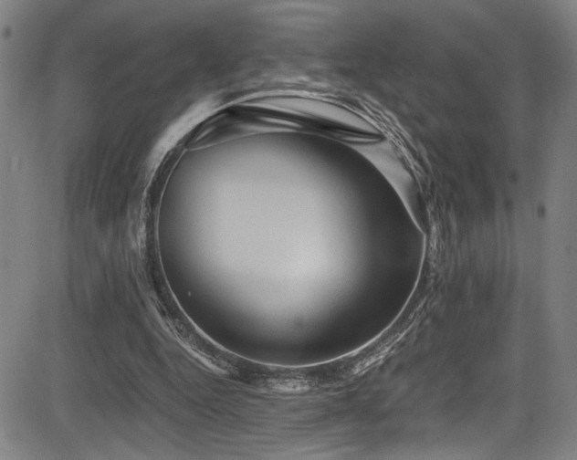 X0000083580344200702091124
