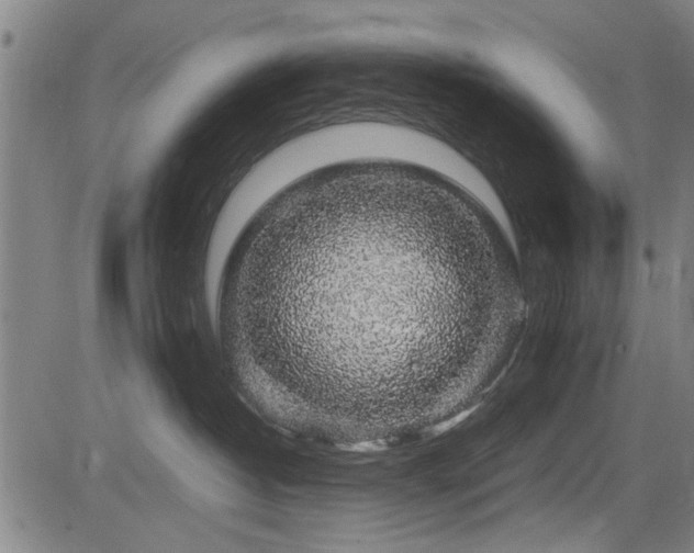 X0000083580382200702091125