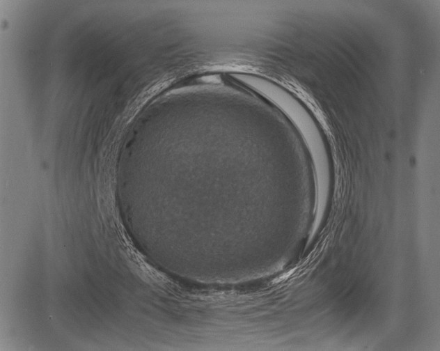 X0000083580385200702091124