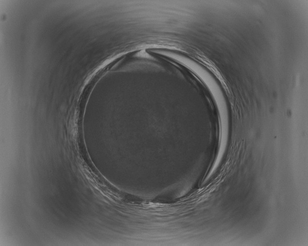 X0000083580387200702091124