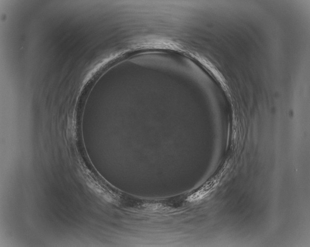 X0000083580391200702091124