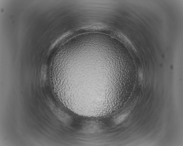 X0000083580396200702091124