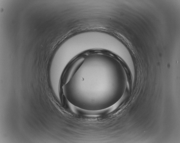 X0000083580405200702091124