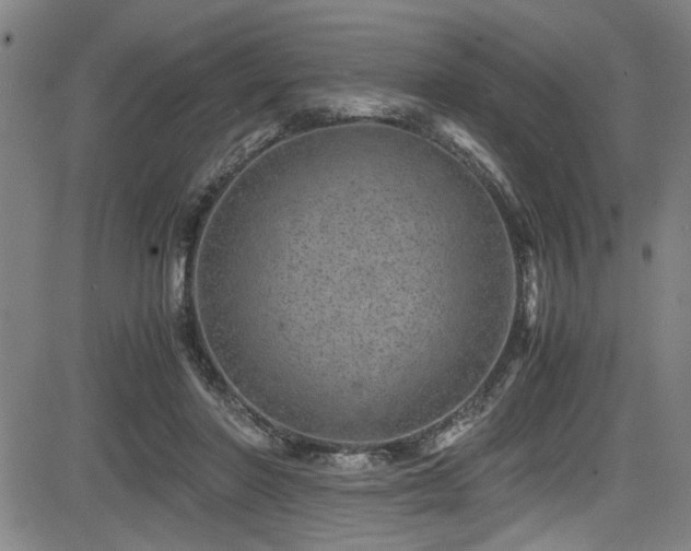 X0000083580406200702091124