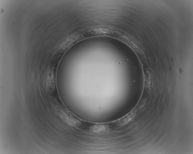 X0000083580418200702091124