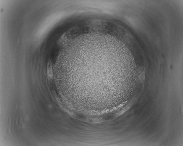 X0000083580431200702091123