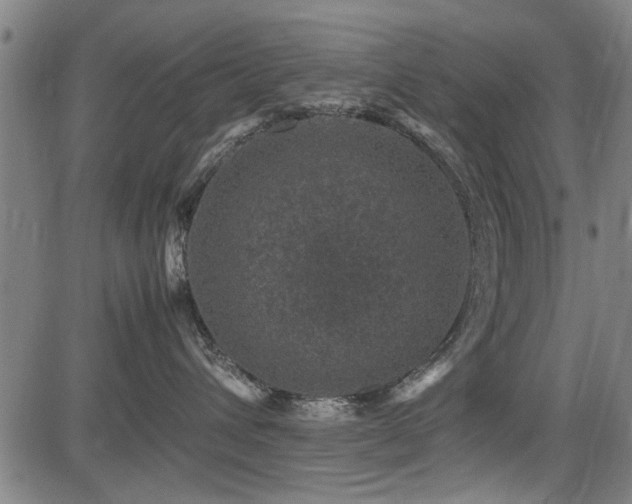 X0000083580432200702091123