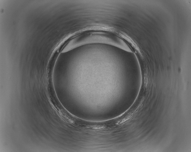 X0000083580436200702091123