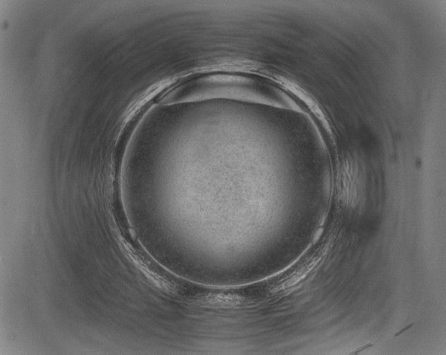X0000083580437200702091123