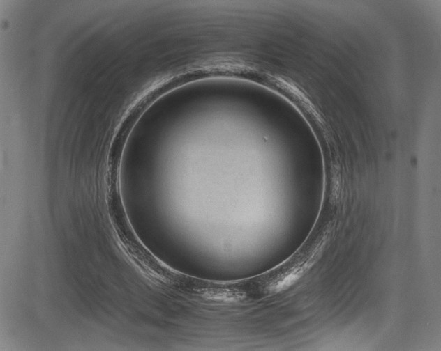 X0000083580439200702091123