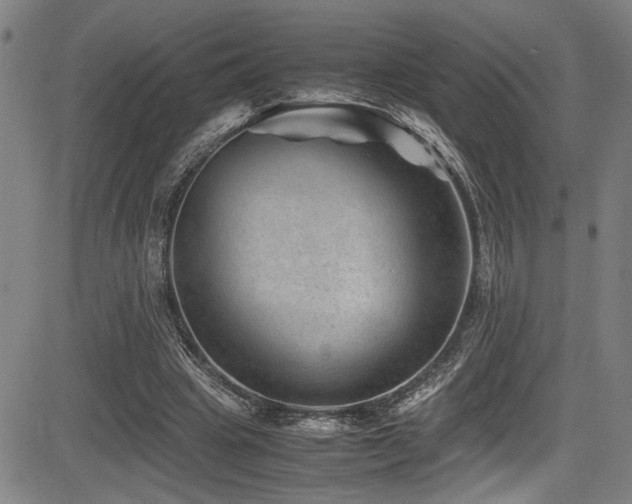 X0000083580441200702091123