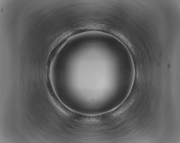 X0000083580445200702091123