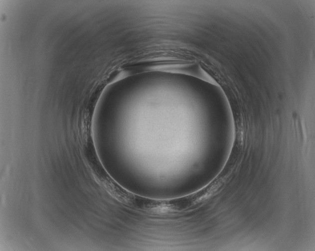 X0000083580460200702091123