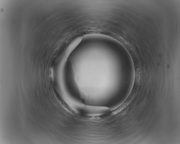 X0000083580474200702091123