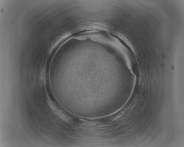 X0000083580482200702091122