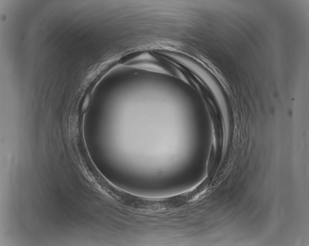 X0000083580485200702091122