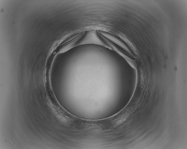 X0000083580486200702091122