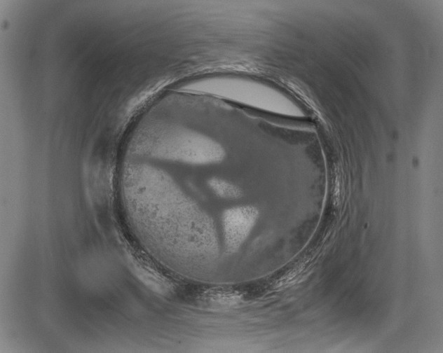 X0000083580491200702091122
