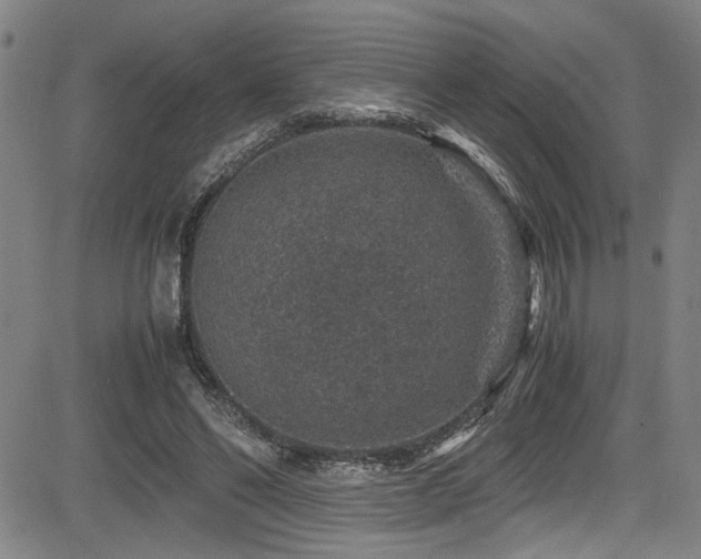 X0000083580494200702091122