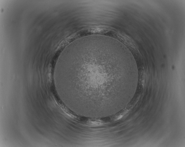 X0000083580510200702091122